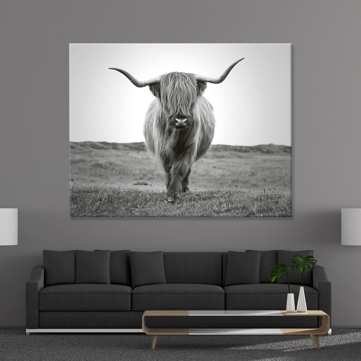 Scottish Bull
