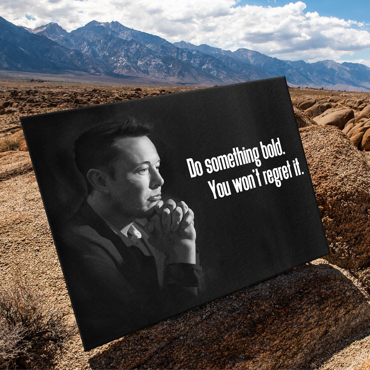 Pondering Elon
