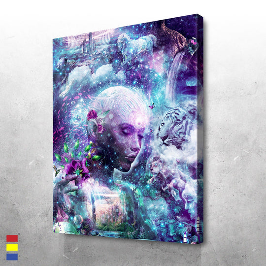 Discovering The Cosmic Consciousness