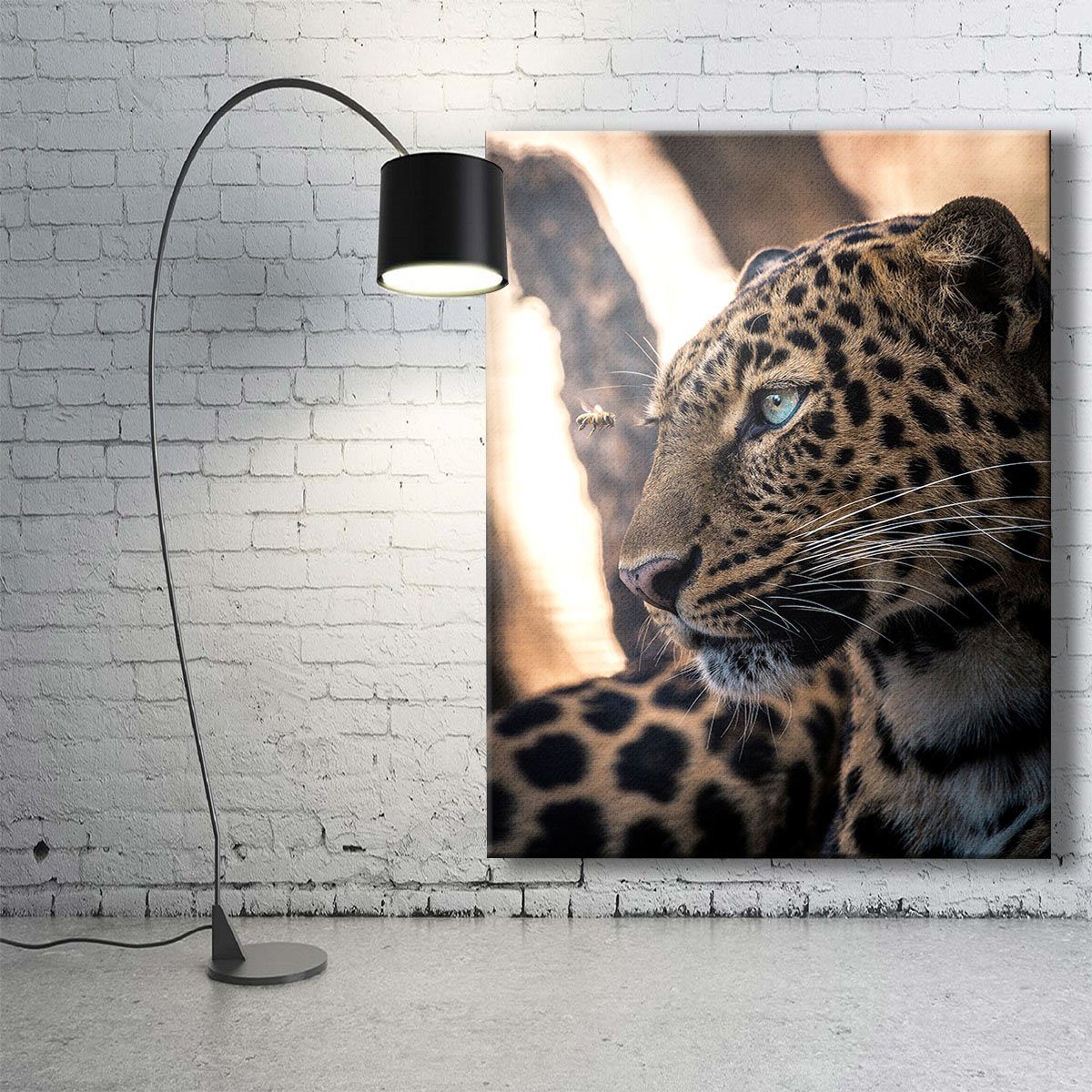 Leopard View