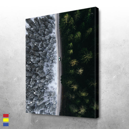 Winter - Summer